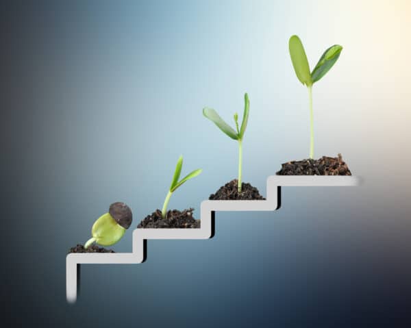 Steps with a sprout that grows bigger as it gets higher.